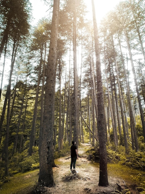 Teenage boy standing amidst trees in forest