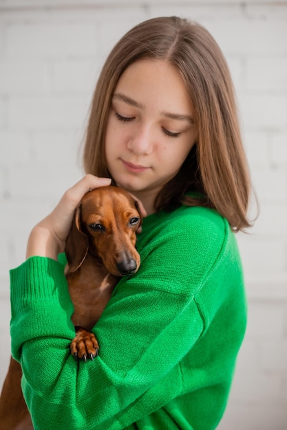 Teenage girl in jeans and green sweater holds a small dog dachshund in her arms. favorite pet. girl hugs, kisses, squeezes her beloved dog in her hands. animal care. space for text. High quality photo