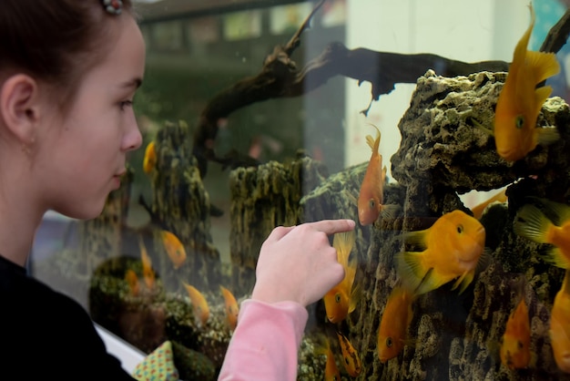 A teenage girl looks at the goldfish in the aquarium.