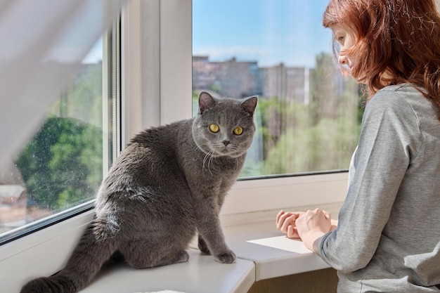 창문 근처 집에 있는 회색 영국 고양이의 주인인 10대 소녀