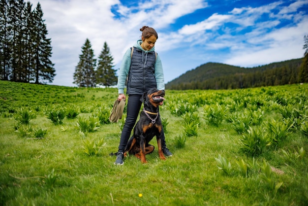 Teenage girl stands with leash in hands next to dog of Rottweiler breed in meadow against background of fir trees