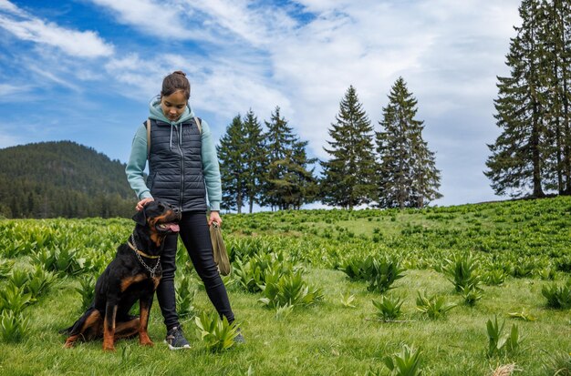 Teenage girl stands with leash in hands next to dog of Rottweiler breed in meadow against background of fir trees