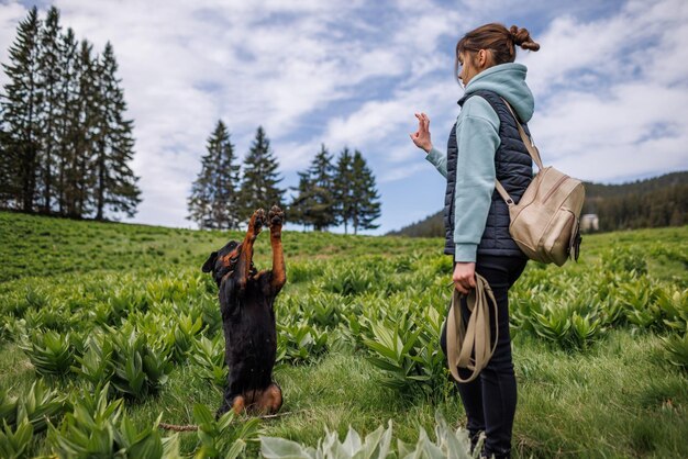 Teenage girl in suit stands and gives commands to dog of Rottweiler breed on meadow with vegetation