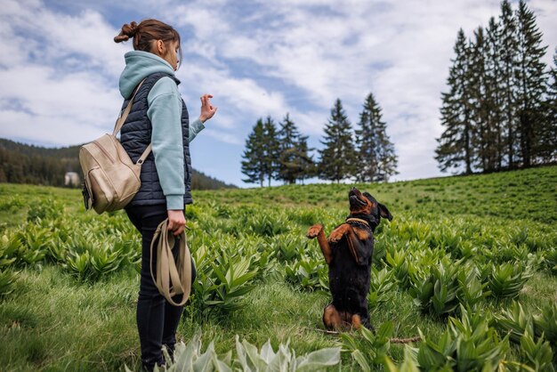 Teenage girl in suit stands and gives commands to dog of Rottweiler breed on meadow with vegetation