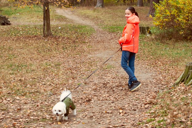 Teenage girl walks in autumn forest with cute white dog in overalls