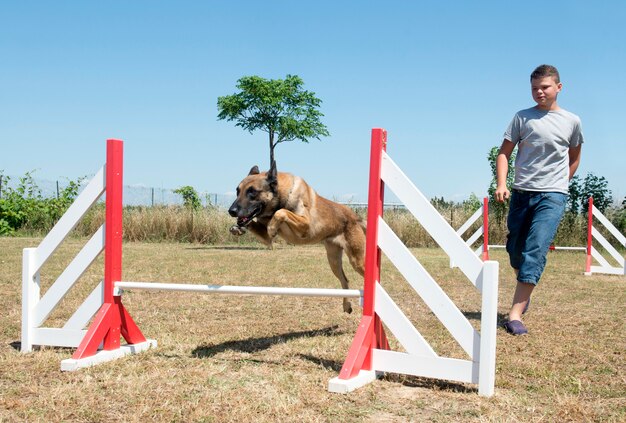 teenager and dog in agility