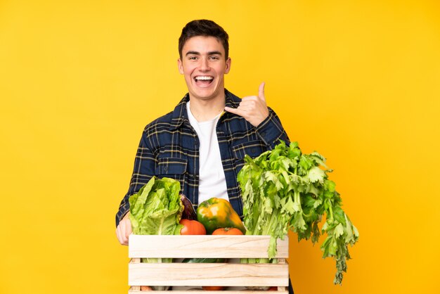 Teenager farmer man with freshly picked vegetables in a box making phone gesture