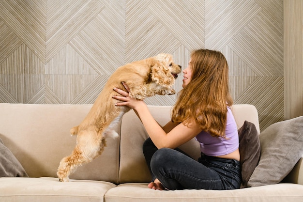 Teenager girl playing with spaniel while sitting on sofa in living room Girl hugging with her dog while sitting on couch