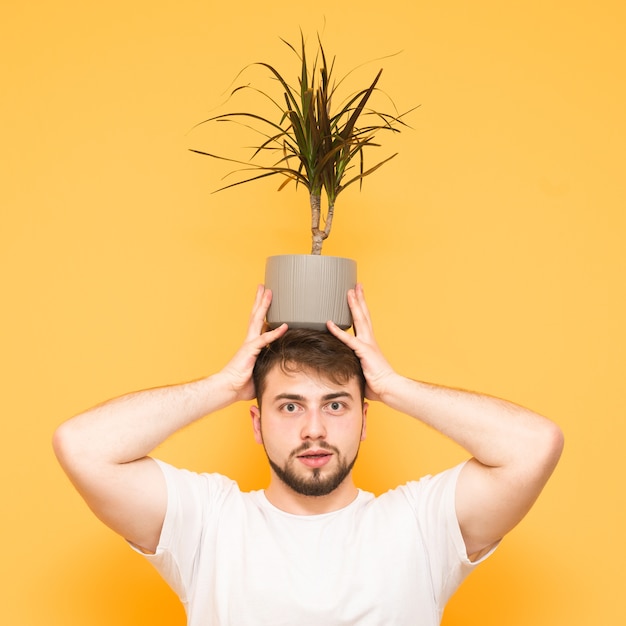 teenager with a beard holds a flowerpot with a plant on his head