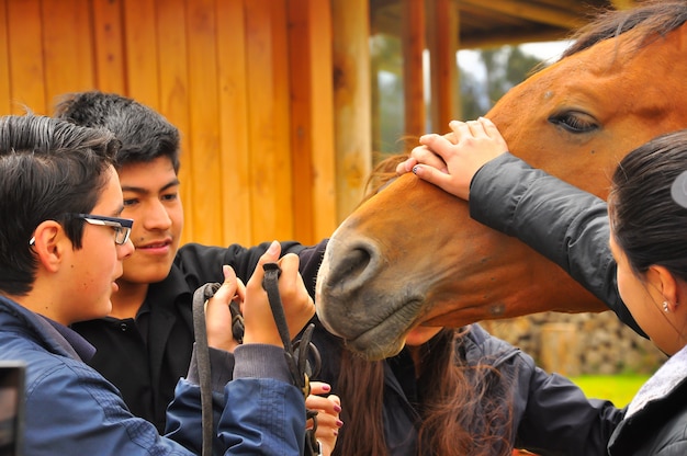 Adolescenti che imparano a conoscere i cavalli. scuola di equitazione in ecuador