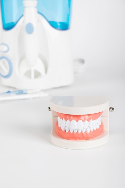 Teeth and jaw model. Other dentistry tools in the background.