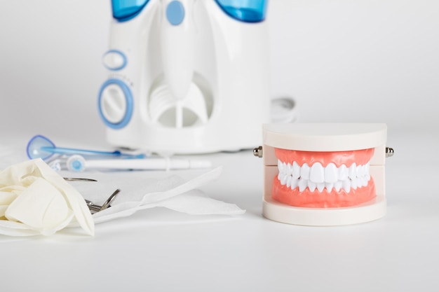 Teeth and jaw model. Other dentistry tools in the background.