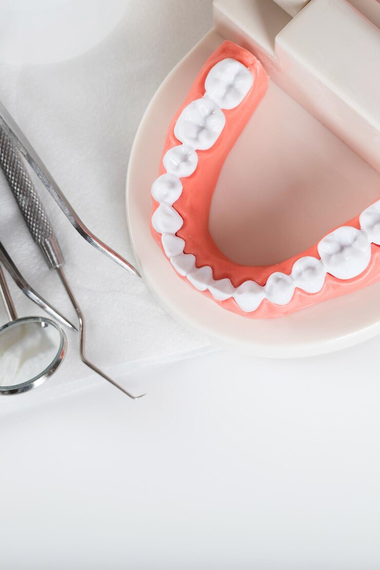 Photo teeth and jaw model. other dentistry tools in the background.
