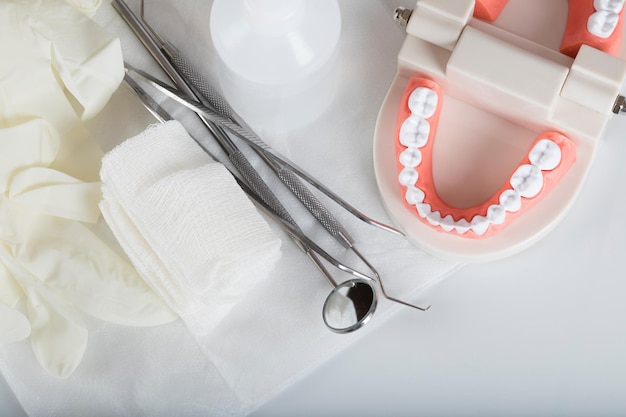 Teeth and jaw model. Other dentistry tools in the background.