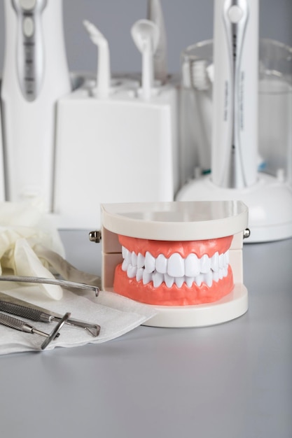 Teeth and jaw model. Other dentistry tools in the background.