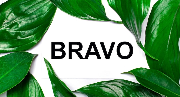 Tegen de achtergrond van groene natuurbladeren een witte kaart met de tekst BRAVO