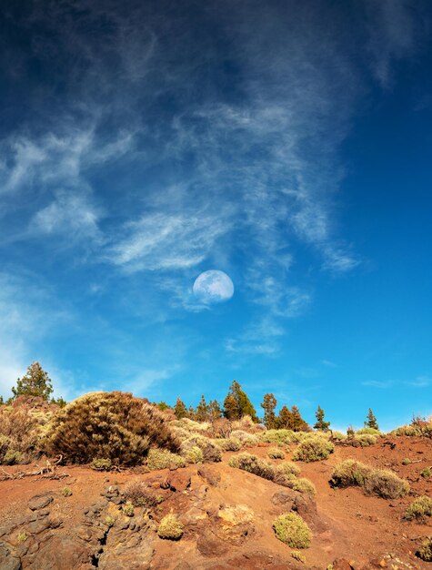 Photo teide national park rocky soil and sparse vegetation the silhouette of the moon in the sky is visible during the day tenerife canary islands spain