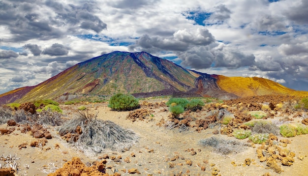 Teide vulkaan in Canarische eiland.Tenerife nationaal park.Natuur vulkanisch landschap.Landmark in Spanje.