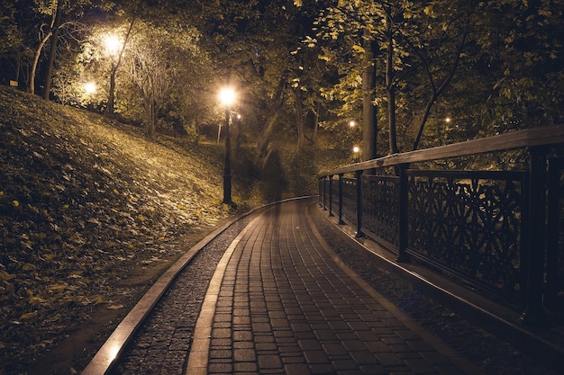 the teiled road in the night park with lanterns in autumn bench