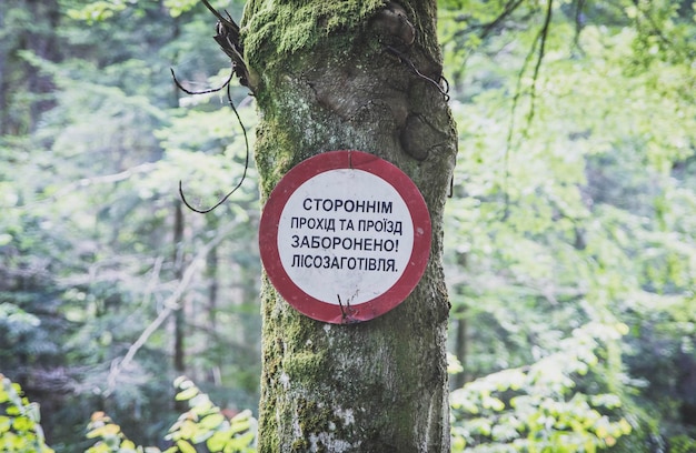 Teken Houtkap die een doorgang in het bos in de Karpaten verbiedt