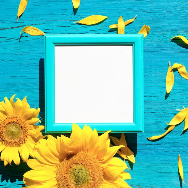Tekst Feliz Cumpleanos betekent Happy Birthday in de Spaanse taal Gele zonnebloem bloemen en bloemblaadjes verspreid op levendige getextureerde turquoise houten achtergrond rond wit frame met begroeting