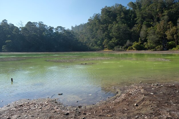 Telaga Warna in Dieng Plateau, Indonesia. scenic lake features a high sulfur content. volcano lake.