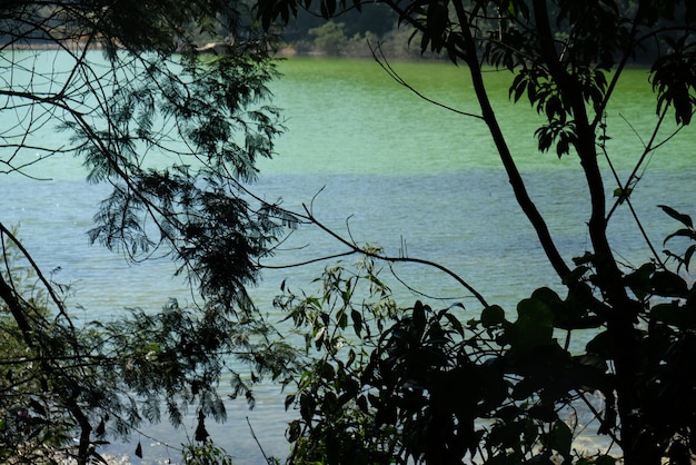 Telaga warna nell'altopiano di dieng, indonesia. lago panoramico caratterizzato da un alto contenuto di zolfo. lago vulcanico.