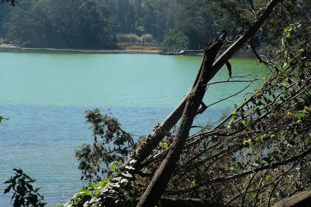 Telaga Warna in Dieng Plateau, Indonesia. scenic lake features a high sulfur content. volcano lake.