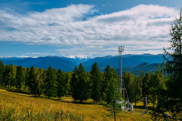 Telecommunicatie celtoren in het wilde bos