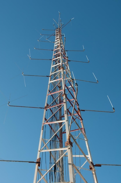 telecommunicatieantenne in het midden van een groen dennenbos