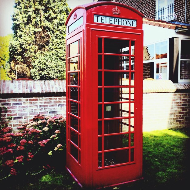 Photo telephone booth by plants against surrounding wall