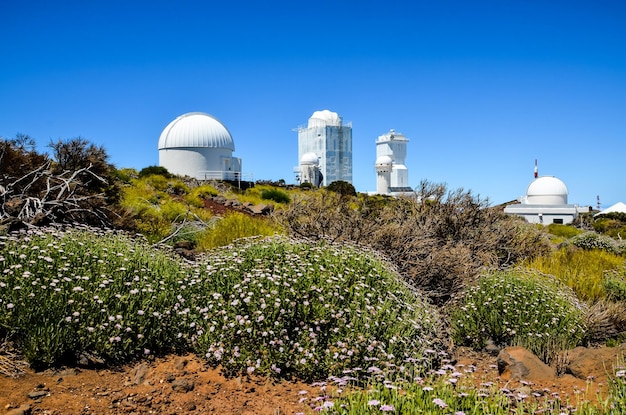 Telescopes of the teide astronomical observatory in tenerife, spain
