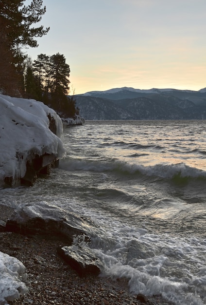 Teletskoye-meer in de wintersneeuw schommelt pijnbomen aan de kust, surfgolven, bergen