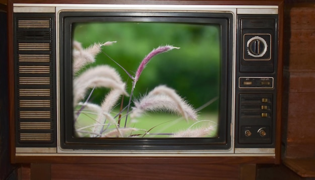 Television is an old TV It's a rare collectible item