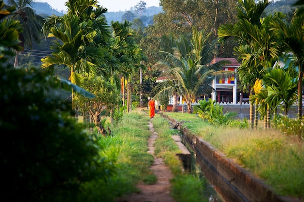 Tempel op Sri Lanka