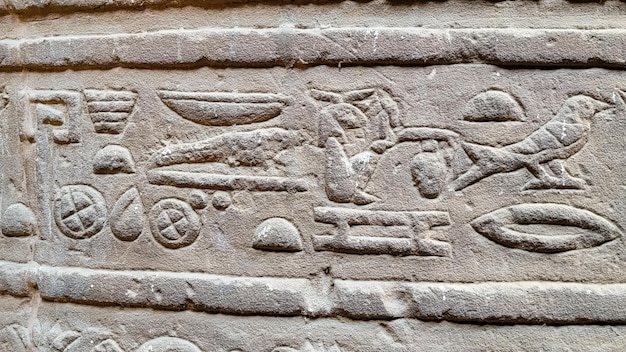 Tempel van Khnum De tempel van Esna gewijd aan de god Khnum Egypte