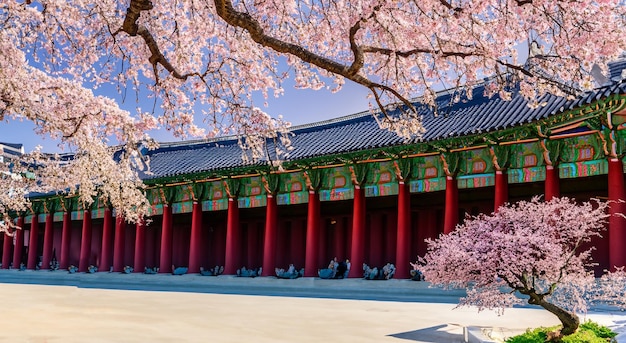 Tempel van monniken in Korea