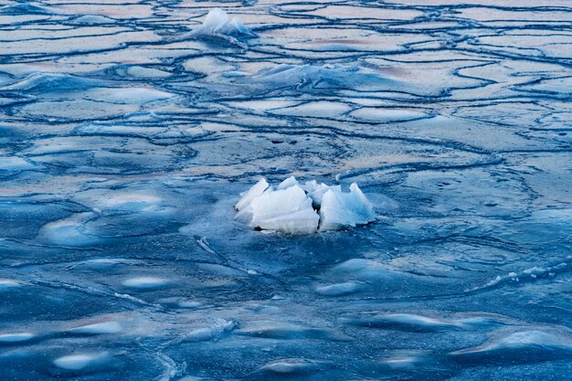 Tempelfjord svalbard