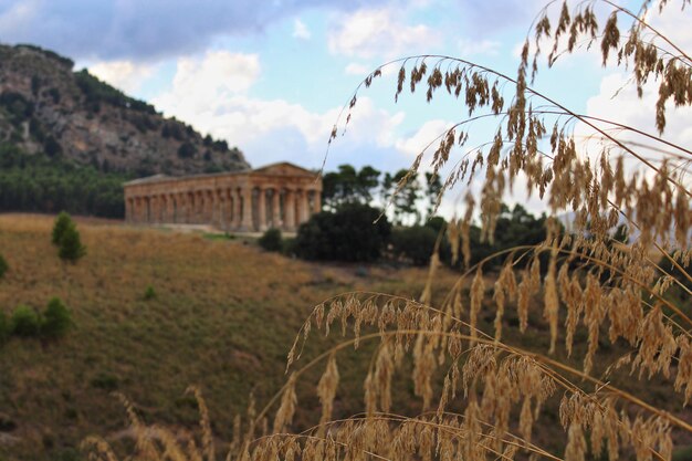 Photo tempio di segesta sicilia - 2016