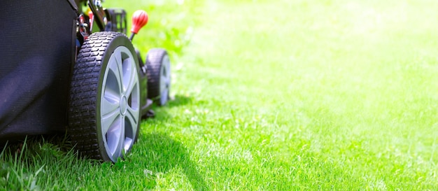 Modello per lavori di giardinaggio