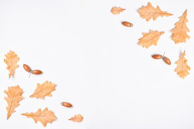 The template is a frame on a white background with various natural objects. Autumn postcard with oak leaves and acorns. Flat layout, top view, a place to copy.