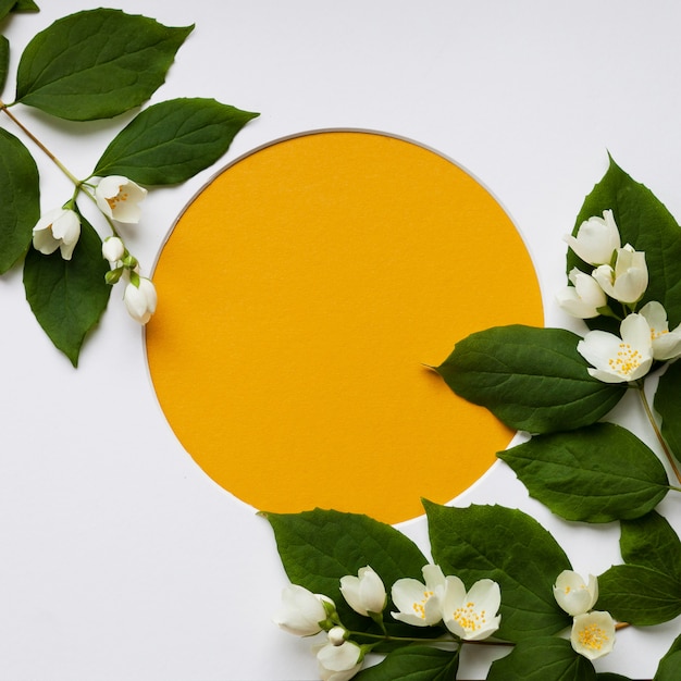 Photo template made of green leaves, blooming white flowers, and a round frame on white background