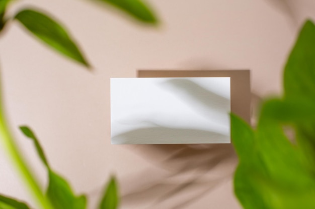 Template paper with green plant shadow on pastel beige background great design for any purposes abs