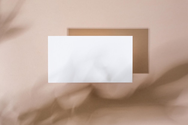 Template paper with green plant shadow on pastel beige background great design for any purposes abs