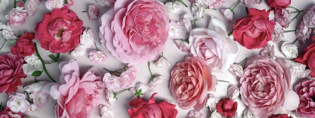 Фото Шаблон с мягкими пастельными розовыми розами на розовом фоне цветочная рамка из розовых цветущих цветов