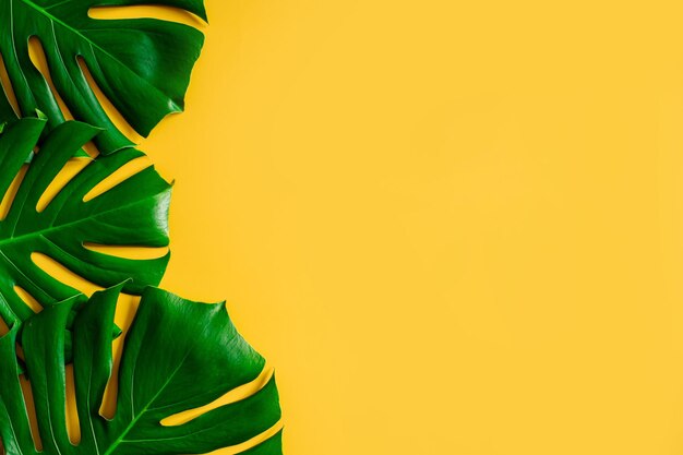 Template woth green leaves on yellow background Flatlay Copy space