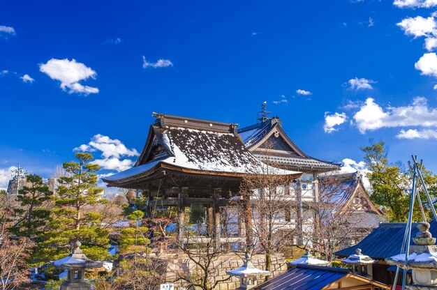 冬の空に向かって木の間にある寺院