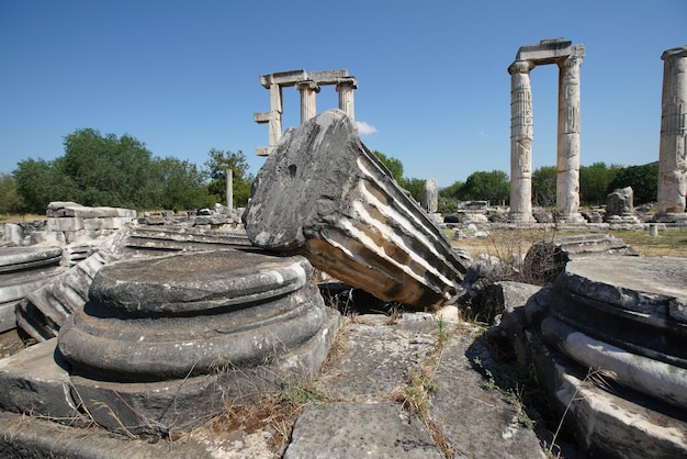 Aydin Turkiye의 Aphrodisias 고대 도시에 있는 아프로디테 신전