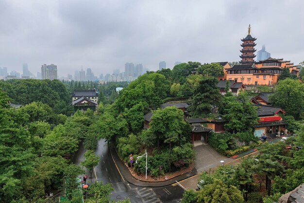 都市の木の近くにある寺院