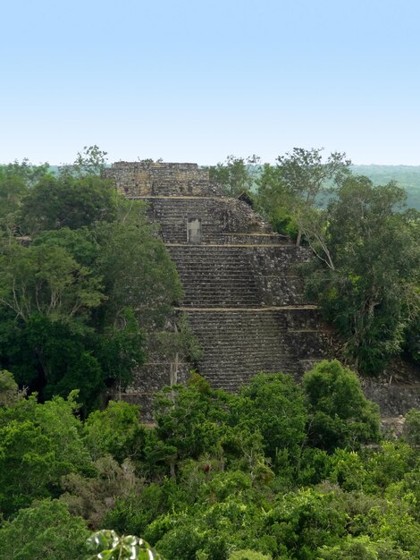 temple at Calakmul